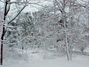 Outdoors in New England, covered in snow.